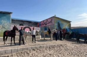 مجموعه پرورش اسب قافلان در میانه