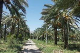 سردخانه و سورتینگ برمودا در حاجی آباد