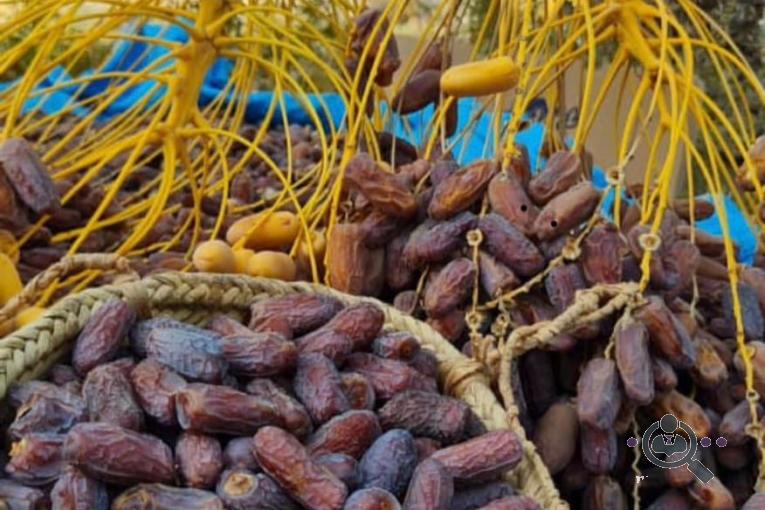 سردخانه و سورتینگ برمودا در حاجی آباد
