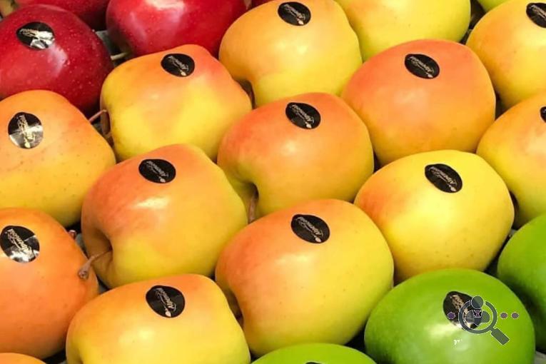 سورتینگ و بسته بندی ملکی در مهاباد