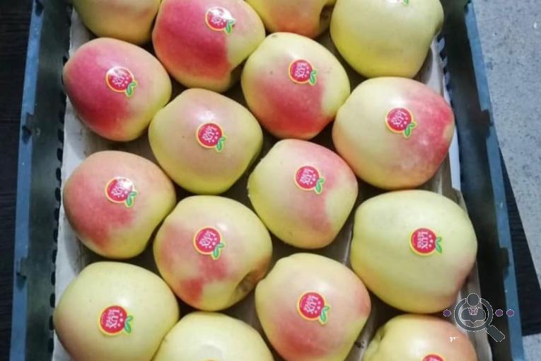 سورتینگ و بسته بندی ملکی در مهاباد